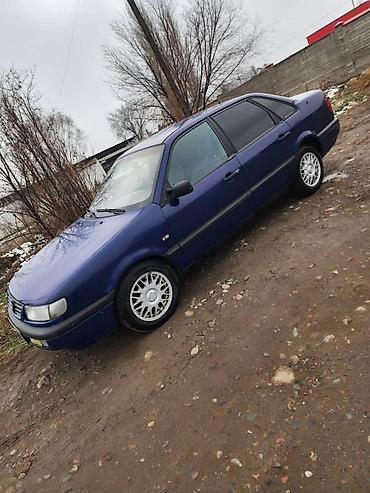 e53 amg: Volkswagen Passat: 1995 г., 1.9 л, Механика, Дизель, Седан — 3