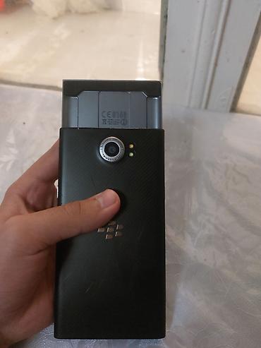 Ежевика: Ежевика Priv, цвет - Черный — 5