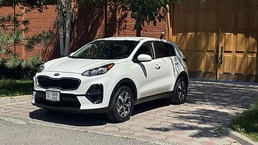 америк: Kia Sportage: 2020 г., 2.4 л, Автомат, Бензин — 3