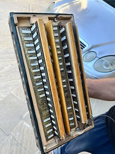 qarmonlar: Qarmon, Akustik, İşlənmiş — 6