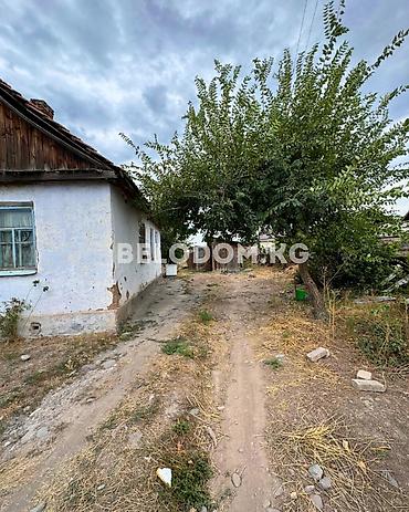 дом участок: 🏠Продается дом в с. Беловодск Верхняя зона, от трассы - 150м — 2