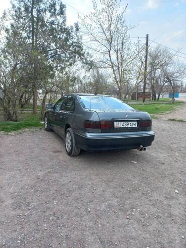 косметика gemma: Honda Accord: 1997 г., 1.8 л, Механика, Бензин, Седан