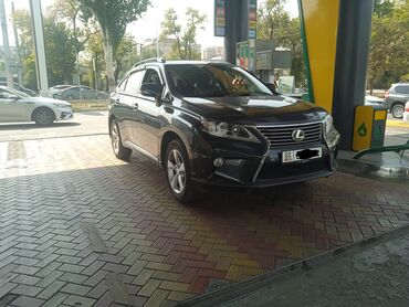 авенсис 2009: Lexus RX: 2009 г., 3.5 л, Автомат, Бензин, Кроссовер