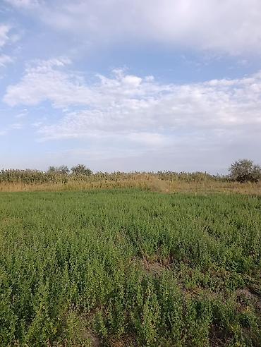 баа: 400 соток, Бизнес үчүн, Белек келишими, Үлүштүк катыш келишими, Сатып алуу-сатуу келишими — 3