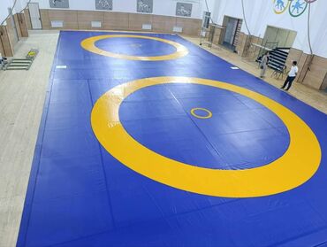 Другие тренажеры: Профессиональные спортивные маты для единоборств Назначение: - борьба — 28