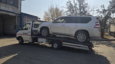 колёса на скутер: Түз платформасы менен