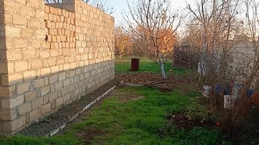 Torpaq sahələrinin satışı: Kənd təsərrüfatı — 3