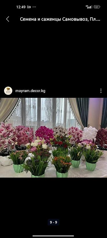 Декоративные цветы: Искусственные деревьяи цветы для вашего интерьера Адрес: г. Бишкек. ул — 8