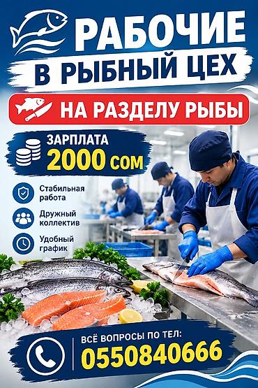 официант каракол: Вакансия: рабочие в рыбный цех на разделку рыбы. Описание задач: - — 1