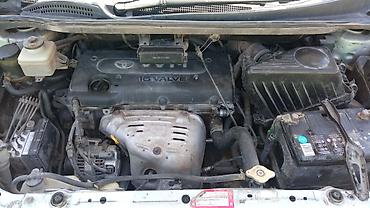 Toyota: Toyota Ipsum: 2001 г., Минивэн — 7