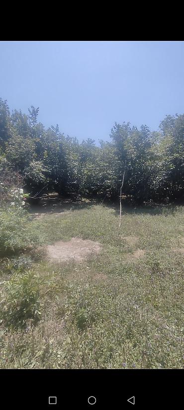 Torpaq sahələrinin satışı: 11 sot, Tikinti, Barter mümkündür, Kupça (Çıxarış) — 8