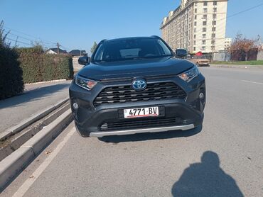 солярис 2021: Toyota RAV4: 2021 г., 2.5 л, Автомат, Бензин