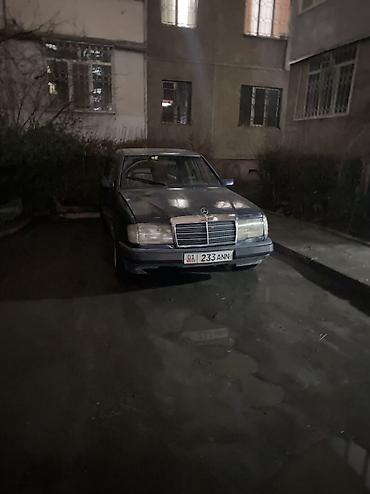 Mercedes-Benz: Mercedes-Benz W124: 1989 г., 2.3 л, Механика, Бензин, Седан — 1