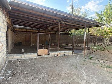 tap az ilkin odenissiz evler: 5 otaqlı, 380 kv. m, Kredit yoxdur, Yeni təmirli — 10