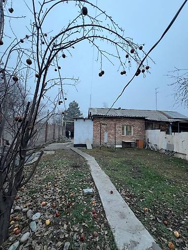 Продажа домов: Дом, 60 м², 2 комнаты, Собственник, Косметический ремонт at lalafo.kg — 7 Продажа домов: Дом, 60 м², 2 комнаты, Собственник, Косметический ремонт — 7