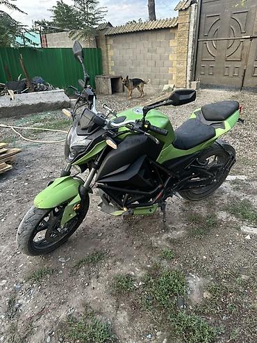 g comp: Naked Kawasaki, 250 куб. см, Бензин, Взрослый, Новый — 5
