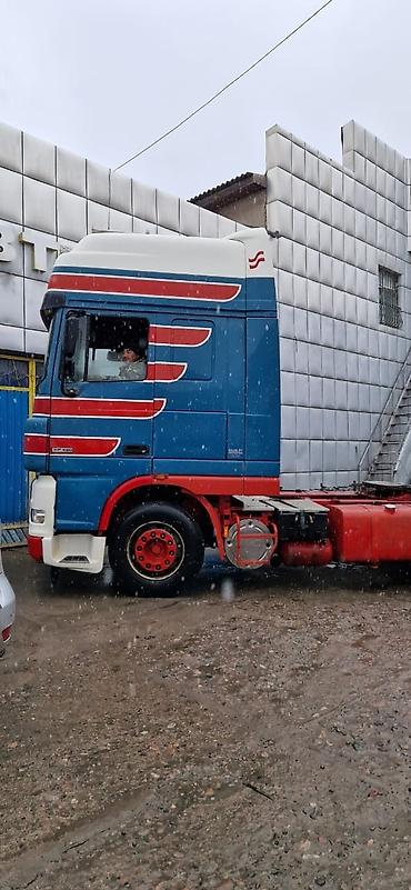 Тягачи: Тягач, DAF, 2004 г., Тентованный — 3