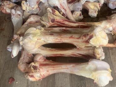 цена на мясо в бишкеке сегодня: Трубчатые кости
Кости