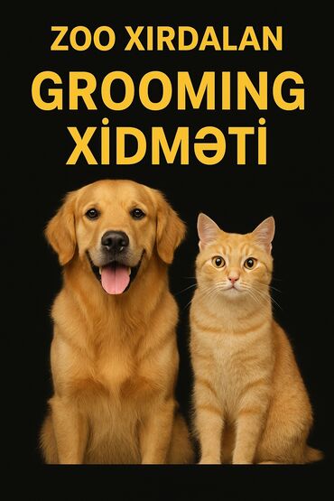 Başqa xidmətlər: ZOO XIRDALAN tərəfindən heyvanlara qulluq xidmətləri təklif olunur. Bu