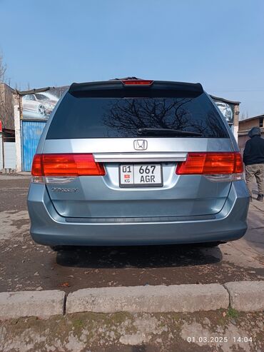 решётка одиссей: Honda Odyssey: 2008 г., 3.5 л, Автомат, Бензин, Минивэн