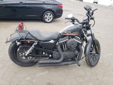 ucuz moto: Harley Davidson - Sportster, 880 sm3, 2009 il, 6600 km