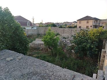 şağan torpaq satılır: 7 sot, Tikinti, Mülkiyyətçi, Kupça (Çıxarış) — 7