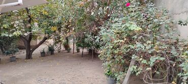 Həyət evləri və villaların satışı: 2 otaqlı, 70 kv. m, Kredit yoxdur, Orta təmir — 9