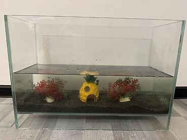 nere baligi: Dördbucaq akvarium, Boş, 60 l, Ünvandan götürmə — 3