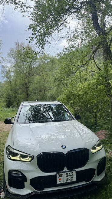 салон bmw e39: BMW X5: 2018 г., 3 л, Типтроник, Бензин, Кроссовер