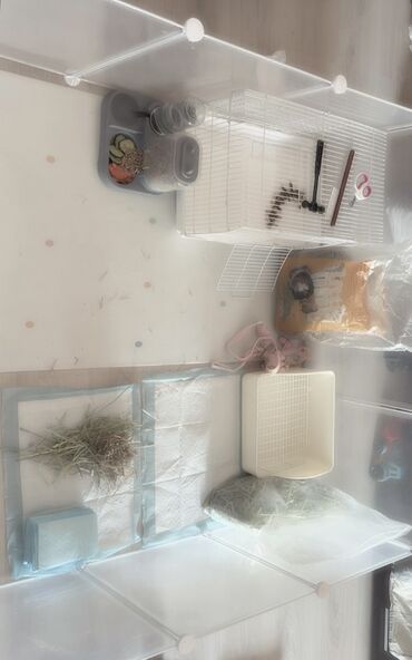 Декоративные кролики: Полный набор для содержания декоративного кролика. В комплекте: - — 3