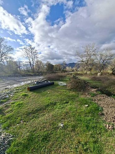 Daşınmaz əmlak: 110 sot, Biznes üçün, Kupça (Çıxarış) — 3