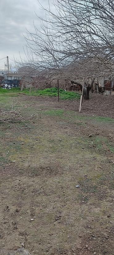 binədə torpağ: 3 sot Tikinti, Qaz, İşıq, Su — 8