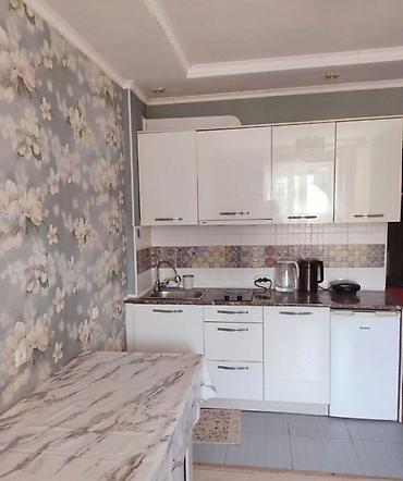 66: 1 комната, 25 м², Карагачевая роща Индивидуалка, 1 этаж, Евроремонт — 3