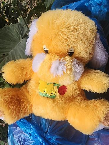 samka: Yumşaq oyuncaq it
12m — 2