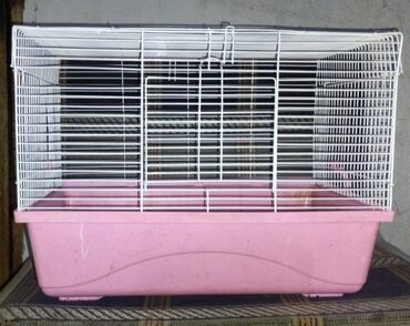 Зоотовары: Клетки для кроликов, морских свинок, ежей, попугаев, хомяков, крыс и — 2