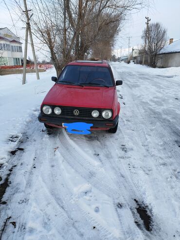 голфы: Volkswagen Golf: 1989 г., 1.8 л, Механика, Бензин