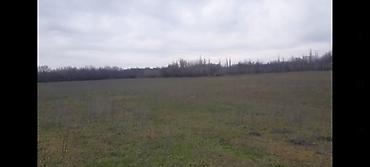 Torpaq sahələrinin satışı: Kənd təsərrüfatı — 8