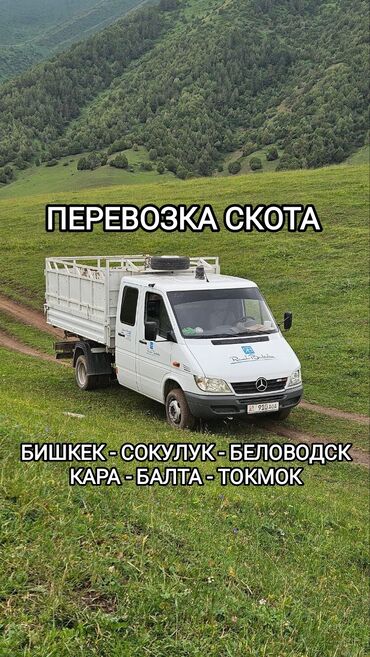 сдаю дом на длительный срок: Porter, Мал ташуу, Регион боюнча, Шаар ичинде, Өлкө боюнча, жүк ташуучу жумушчусу менен