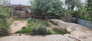 Продажа домов: Дача, 1 м², 4 комнаты, Собственник, Евроремонт — 10