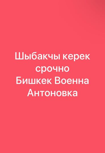 пена блог: Шыбакчы балдар керек срочно