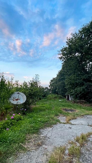 guneşli inşaat: 1500 sot, Tikinti, Mülkiyyətçi, Kupça (Çıxarış) — 6