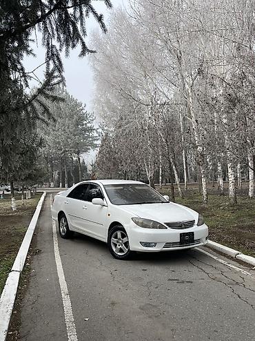 Toyota: Toyota Camry: 2004 г., 2.4 л, Автомат, Бензин, Седан — 2