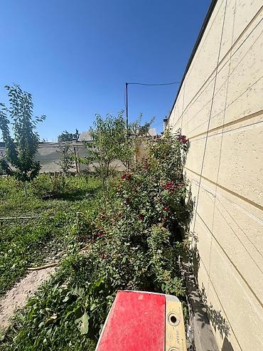 Продажа коттеджей и домов: 🏡 **Продается 2-этажный дом в ж/м Ала-Тоо-1!** ✨ **200 м² | 5 соток | at lalafo.kg — 26 Продажа коттеджей и домов: 🏡 **Продается 2-этажный дом в ж/м Ала-Тоо-1!** ✨ **200 м² | 5 соток | — 26