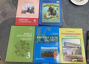 Набор школьных учебников (Киргизстан): - «Кыргыз адабияты», 5 класс