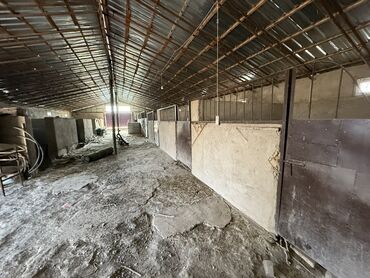 ак орго дом продаю: Сдается действующая фермерская база с помещениями для содержания