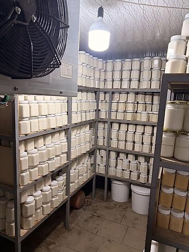 Мёд: Белый мёд ат-баши (эспарцет кремованный натуральный) — 10