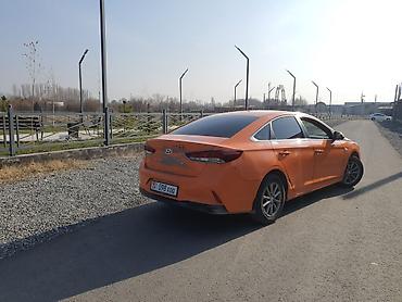 Hyundai: Hyundai Sonata: 2019 г., 2 л, Автомат, Газ, Лифтбек — 8