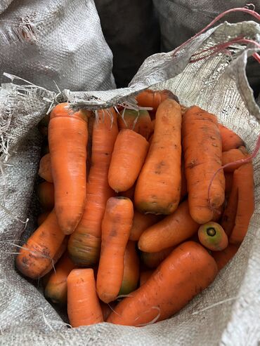 доставка овощей на дом: Картошка