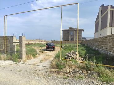 massive: 13 sot, Tikinti, Makler, Kupça (Çıxarış) — 9
