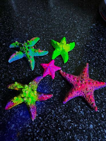 Зоотовары: 🌿 Украшения и декорации для аквариумов и террариумов 🌿 Продаю — 22